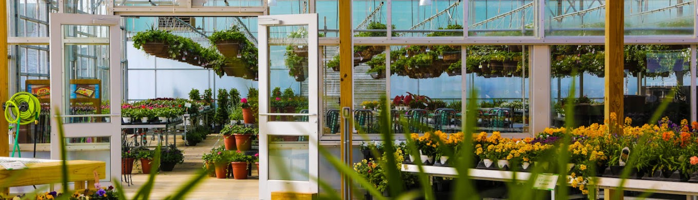 Locally grown plants at Wasson Nursery near Garden Center Near Carmel and Westfield Indiana