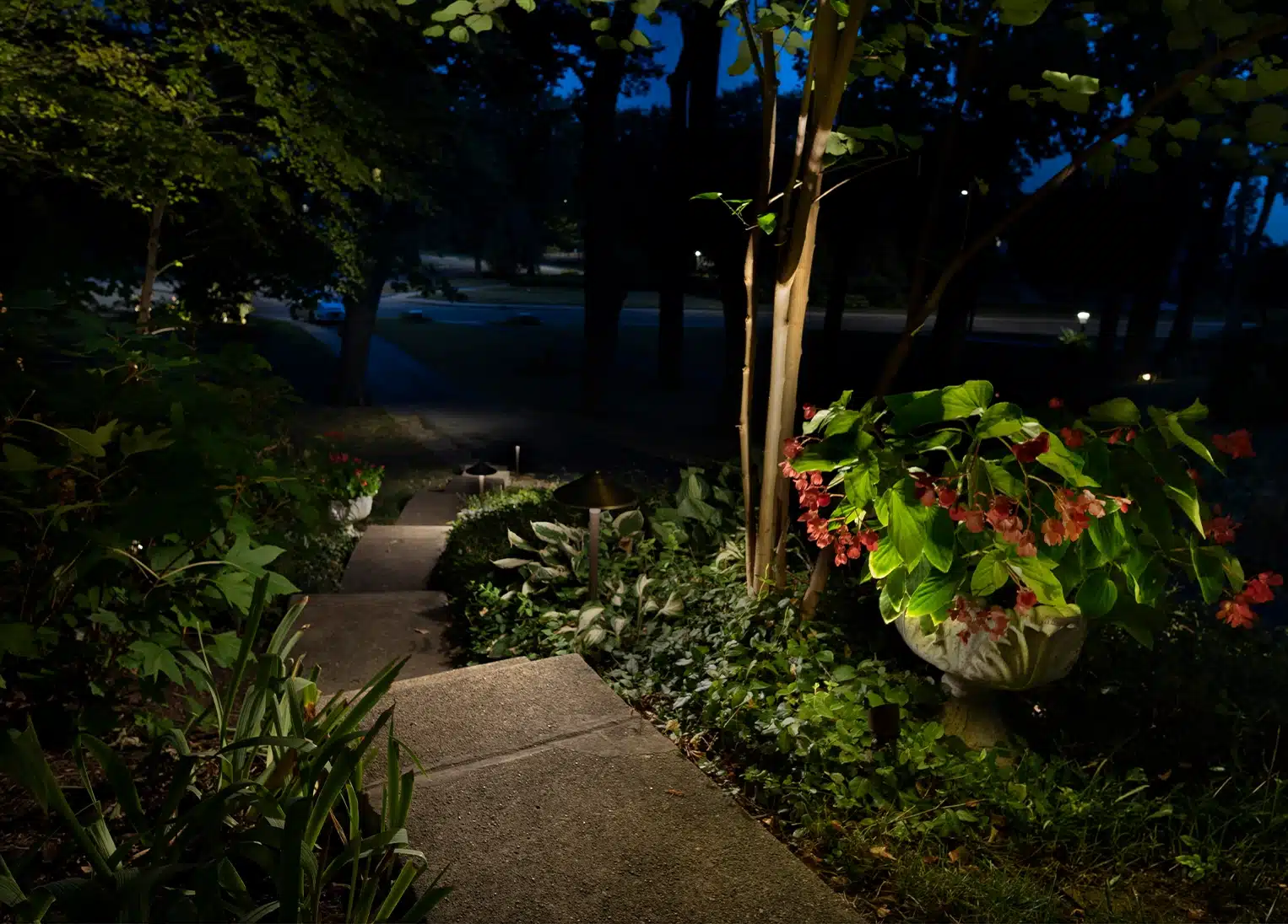 Lighted path