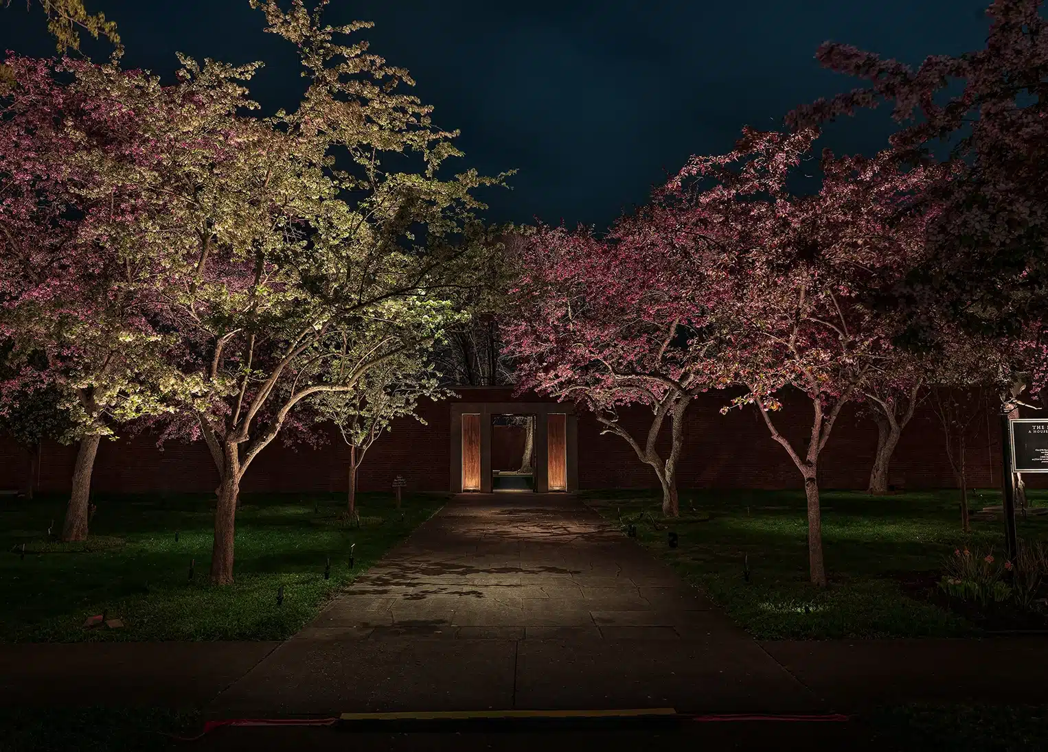 side entry Tree-lined walkway lit up at night